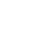 Icon Info