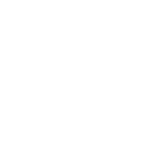 Icon audit