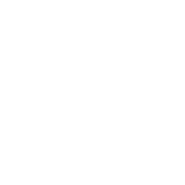 Icon check circle