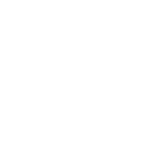 Icon speaker notes